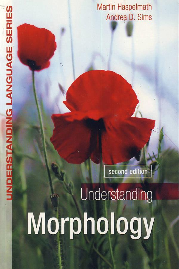 Understanding morphology