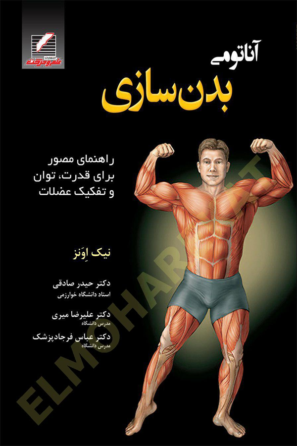 آناتومی بدنسازی